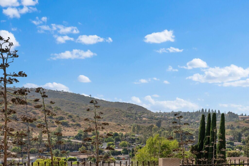 View of the Mountains from the Backyard From a Listing in Poway