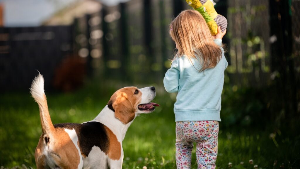 A Kid Playing Fetch with Her Dog