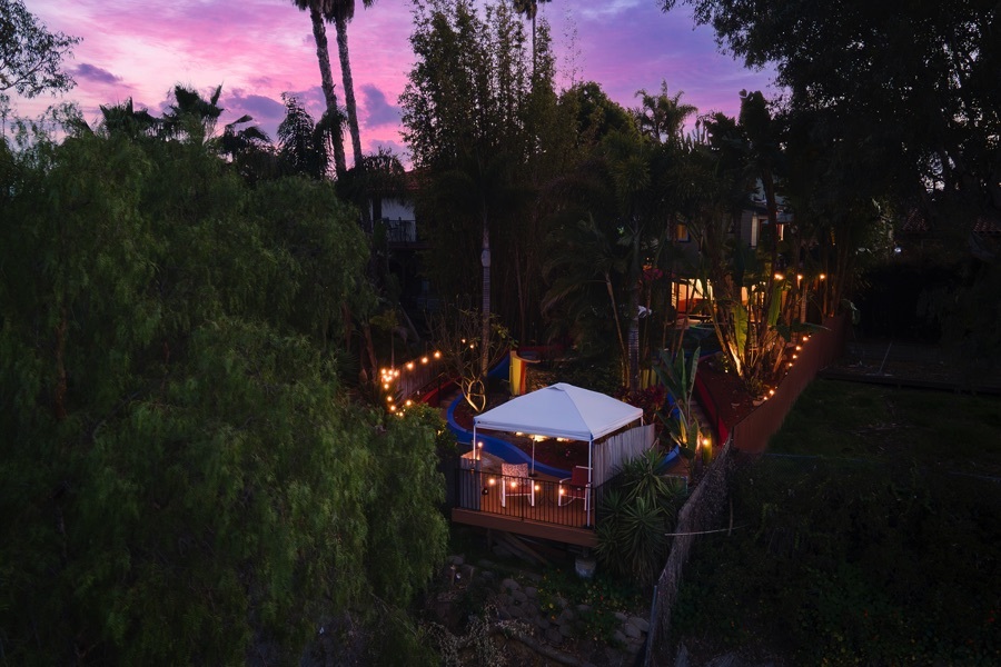 2619 Montclair St - Drone Shot of the Home's Backyard with Lush Greenery